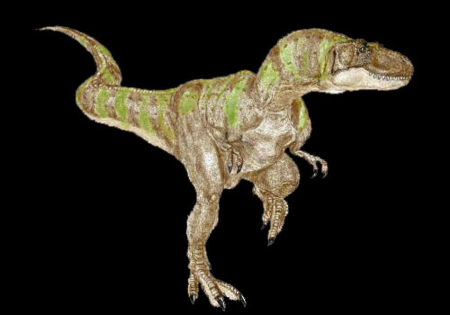 albertosaurus1.jpg