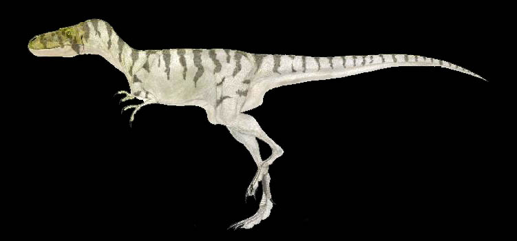 nanotyrannus.jpg