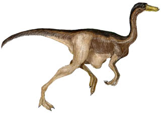 ornithomimosaur.jpg