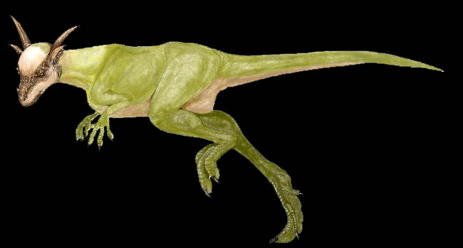 pachycephalosaur1.jpg
