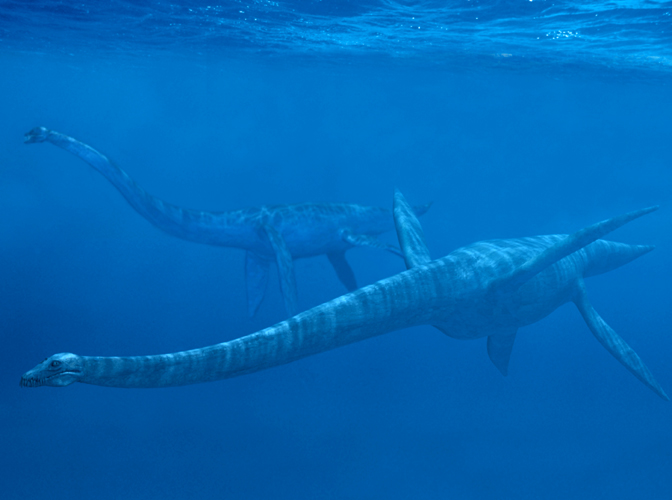 plesiosaur1.jpg